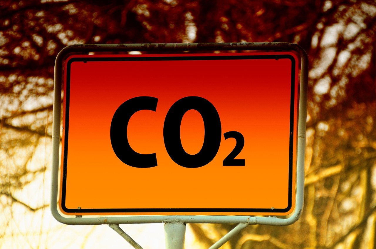 découvrez les enjeux et solutions de la transition écologique pour un avenir durable, intégrant innovations, énergies renouvelables et actions responsables.