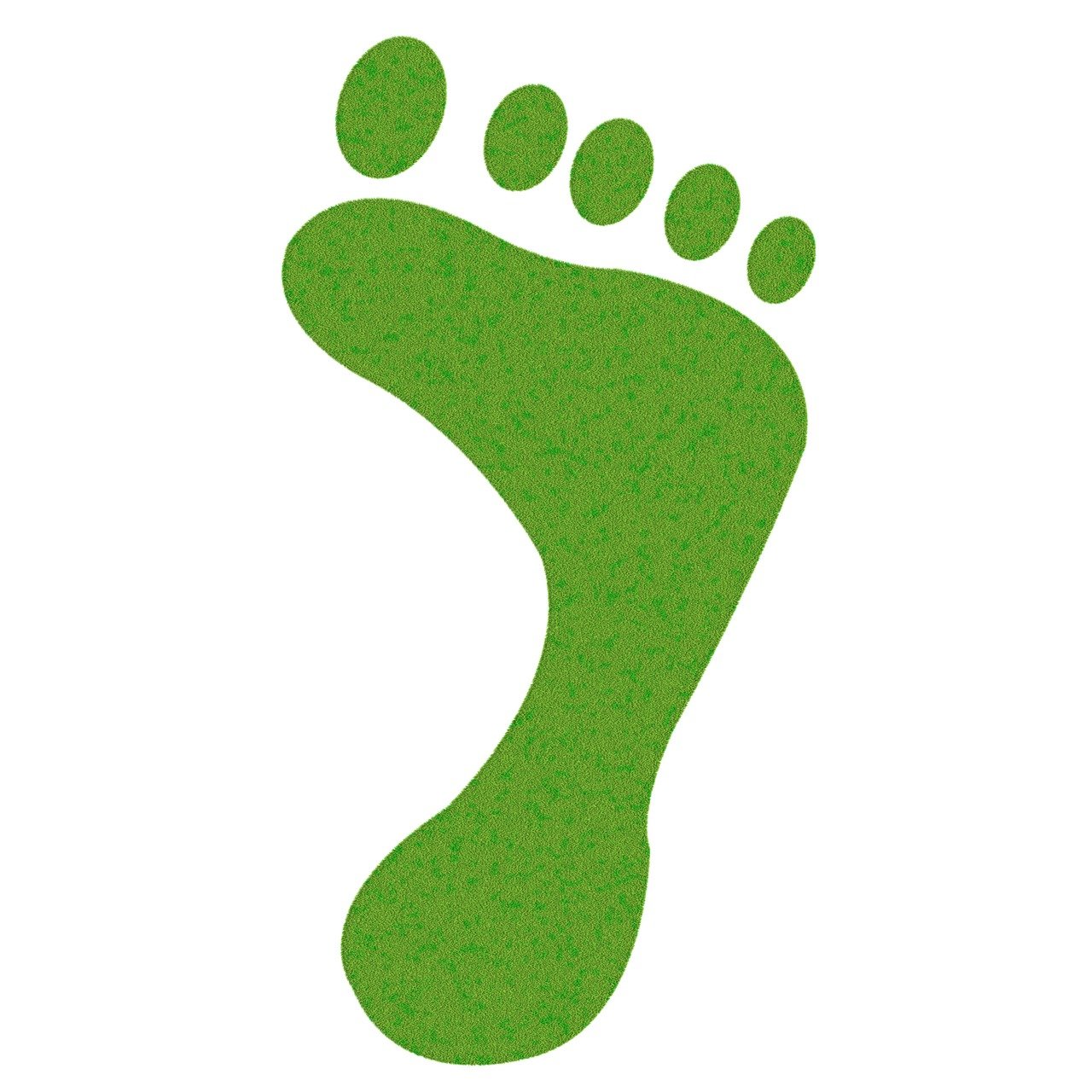 découvrez ce qu'est l'empreinte carbone, son impact sur l'environnement et comment réduire votre contribution pour un avenir plus durable.