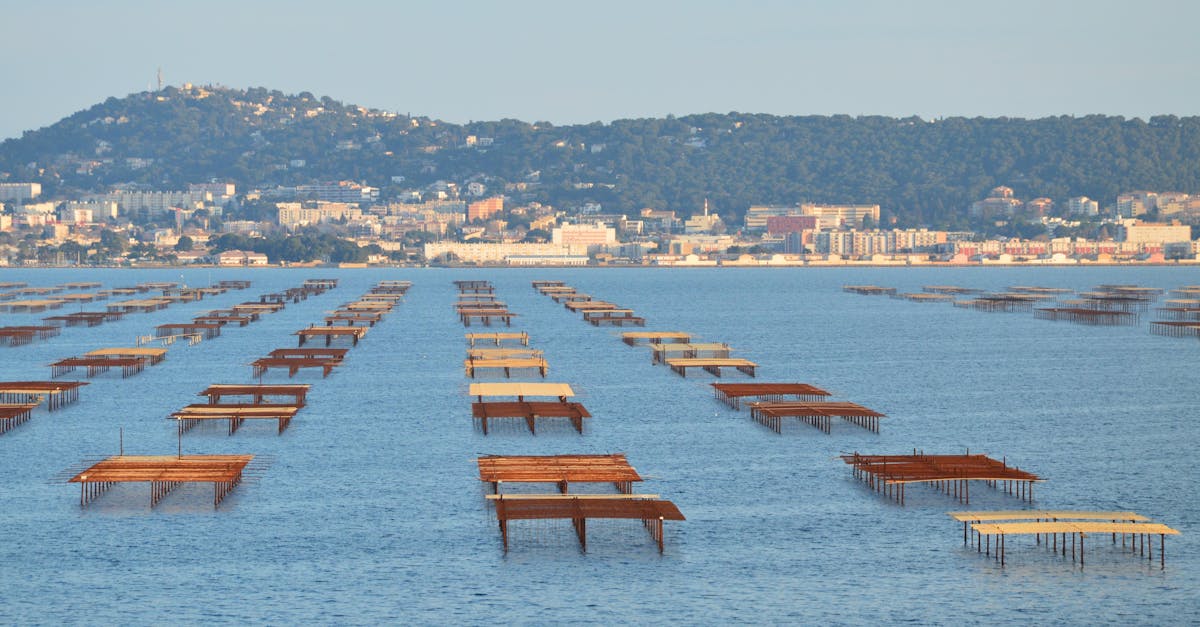 découvrez comment les villes durables transforment nos environnements urbains pour un avenir plus vert. explorez les initiatives innovantes qui favorisent la durabilité, l’utilisation d’énergies renouvelables et la réduction des déchets pour améliorer la qualité de vie de leurs habitants.