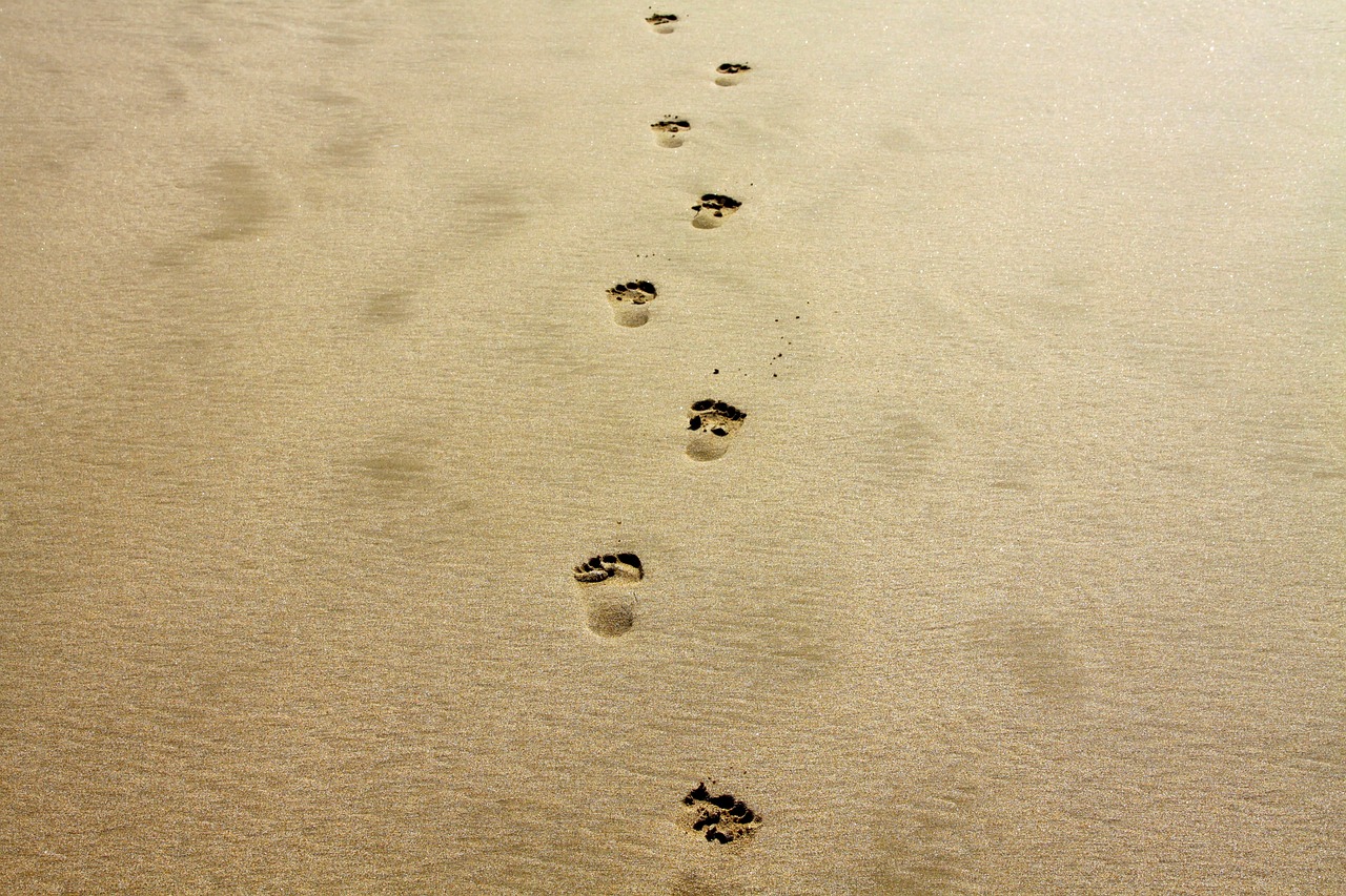 découvrez tout ce qu'il faut savoir sur l'empreinte carbone : définition, impact environnemental, et conseils pratiques pour réduire votre contribution au changement climatique. adoptez des gestes écoresponsables pour un avenir plus durable.