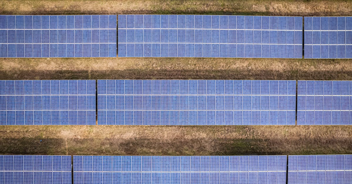 découvrez les principes du développement durable, une approche qui harmonise progrès économique, inclusion sociale et respect de l'environnement. apprenez comment agir pour un avenir plus responsable et éthique.