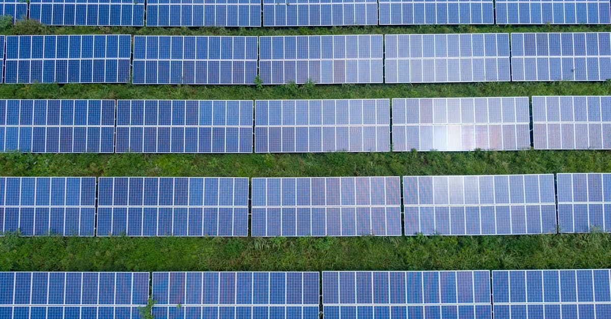 découvrez les dernières avancées en matière d'innovation verte, des technologies durables aux solutions écologiques, visant à préserver notre planète tout en améliorant notre qualité de vie.