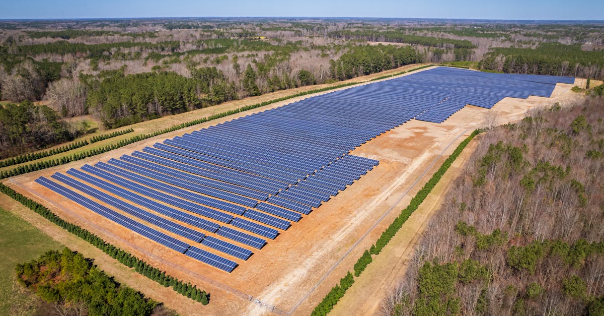 découvrez l'importance du développement durable, une approche qui allie croissance économique, protection de l'environnement et bien-être social. apprenez comment adopter des pratiques responsables pour préserver notre planète pour les générations futures.