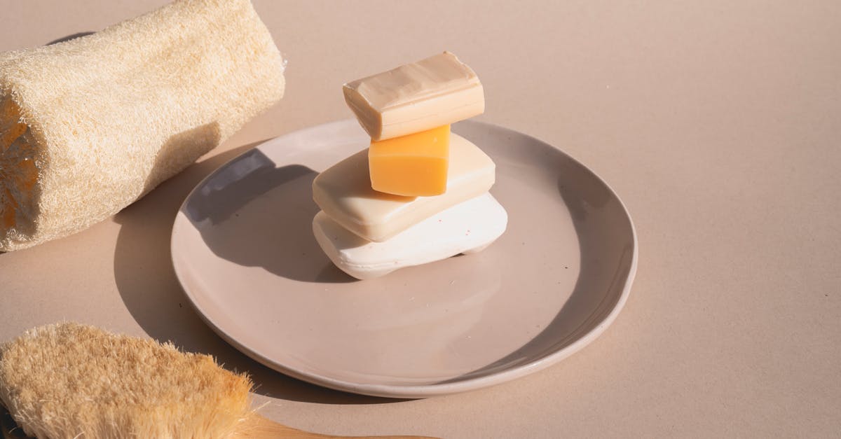 découvrez notre sélection de produits éco-responsables qui allient qualité, innovation et respect de l'environnement. optez pour des choix durables et participez à la préservation de la planète avec des articles conçus pour réduire votre empreinte écologique.