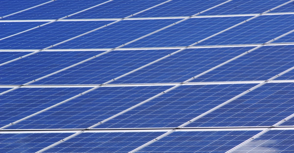 découvrez l'importance de la durabilité dans notre société moderne. explorez des stratégies innovantes et des pratiques écoresponsables pour un avenir plus vert et durable.