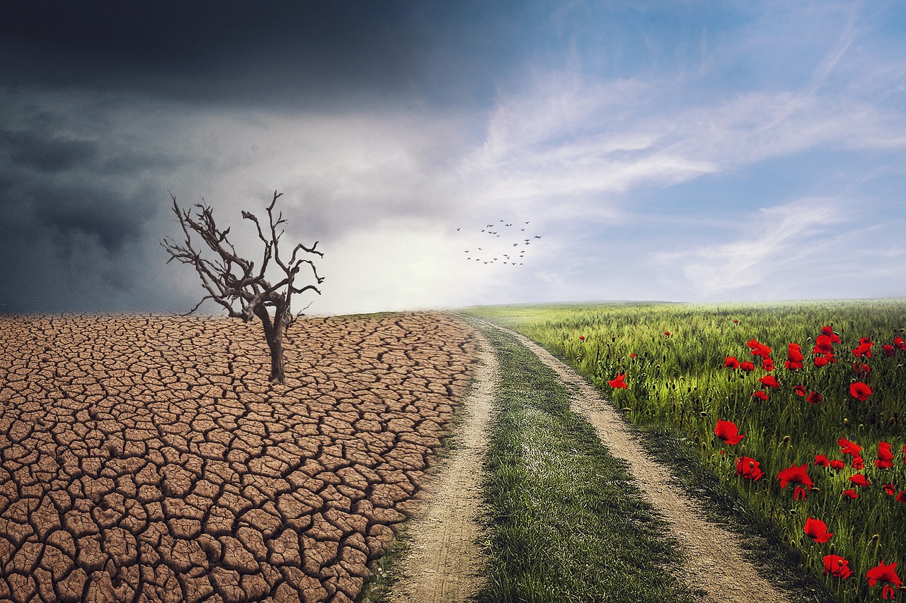 découvrez les impacts du changement climatique, les causes principales et les solutions pour un avenir durable afin de protéger notre planète.