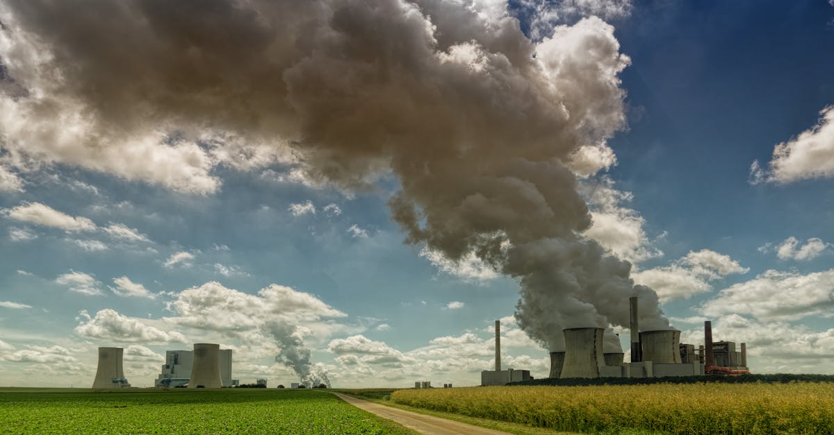 découvrez les causes, les effets et les solutions à la pollution qui affecte notre planète. apprenez comment préserver l'environnement et contribuer à un avenir plus durable.