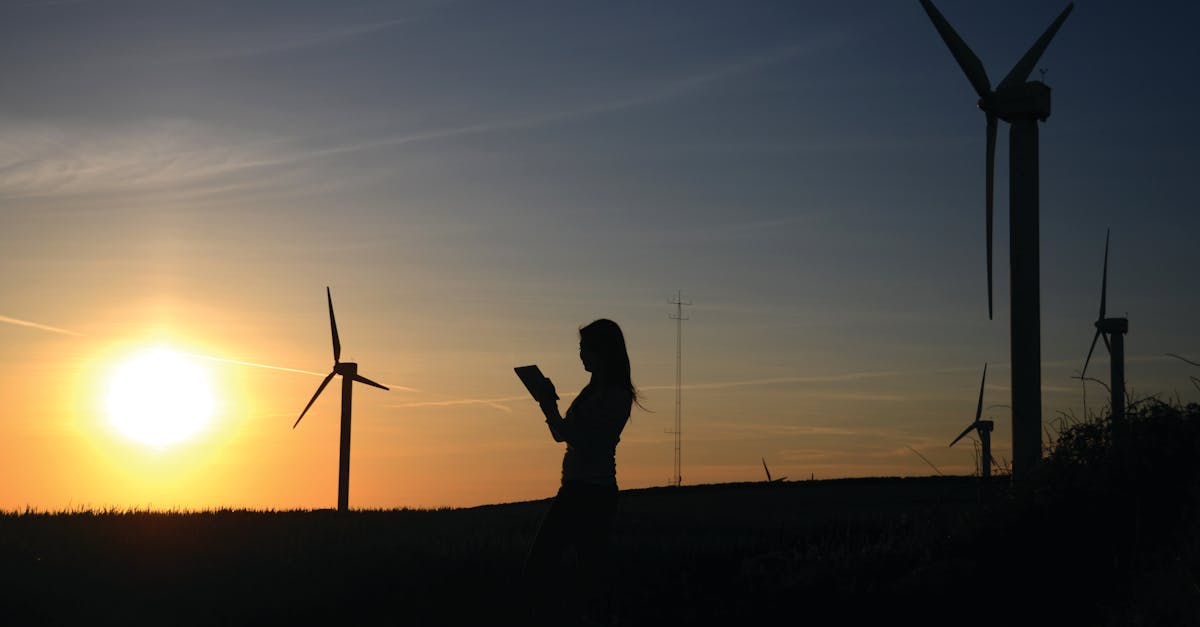 découvrez l'importance de la durabilité dans notre monde moderne. apprenez comment intégrer des pratiques durables dans votre vie quotidienne et contribuer à un avenir plus vert pour les générations futures.