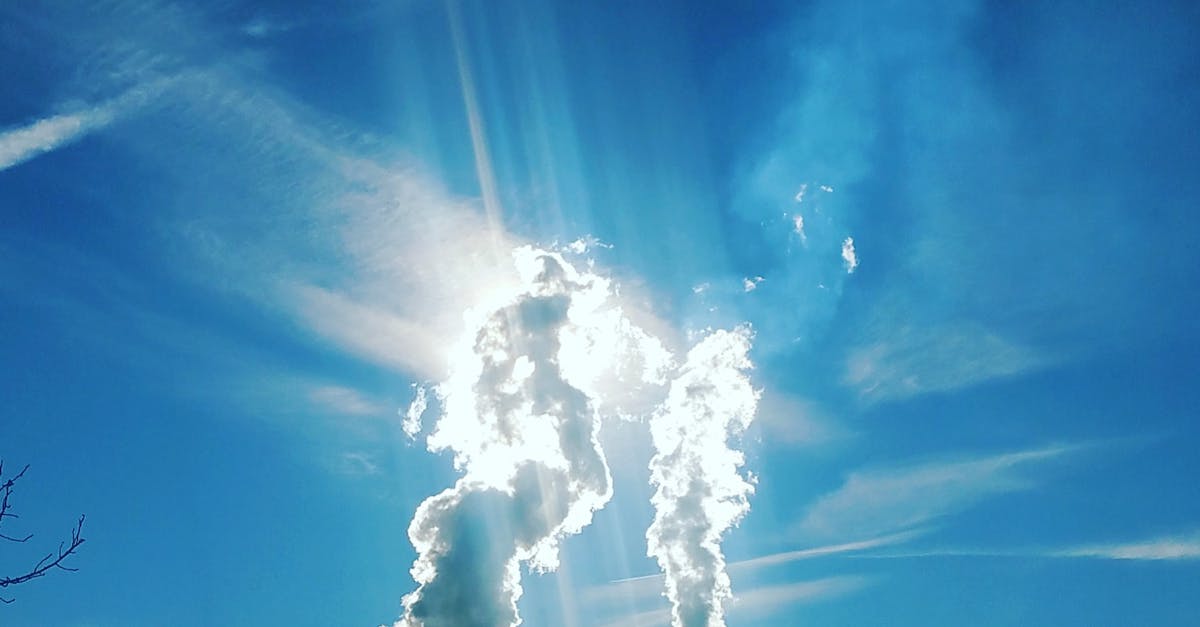 découvrez les causes, les effets et les solutions à la pollution dans notre environnement. informez-vous sur les défis environnementaux actuels et apprenez comment chacun peut contribuer à un avenir plus sain.