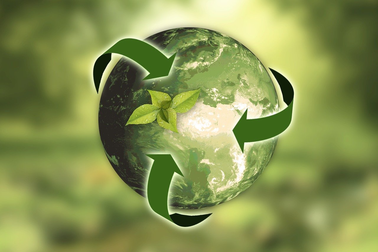découvrez les principes fondamentaux de la durabilité et leur impact sur notre environnement. apprenez comment adopter des pratiques écologiques pour un avenir plus vert et responsable.