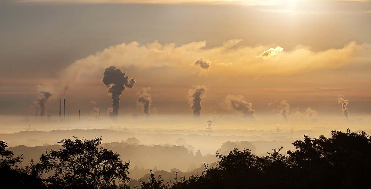 découvrez comment mesurer et réduire votre empreinte environnementale digitale pour un impact écologique positif grâce aux meilleures pratiques et outils numériques.