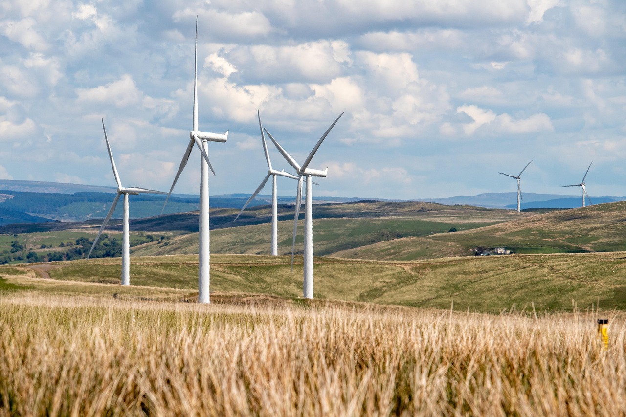 découvrez comment le sport durable favorise la préservation de l’environnement, la responsabilité sociale et l’innovation dans les pratiques sportives, pour un avenir plus sain et respectueux de la planète.