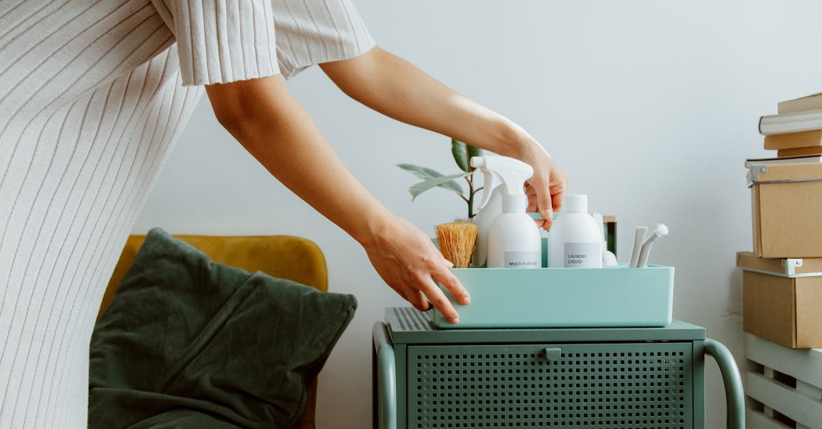 Produits écologiques : Comment choisir ceux qui respectent l’environnement