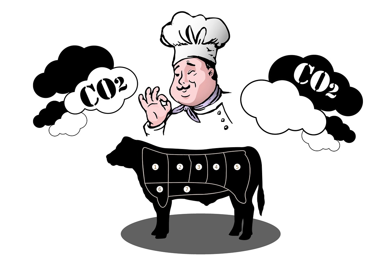 Optimiser son bilan carbone : témoignages d’experts