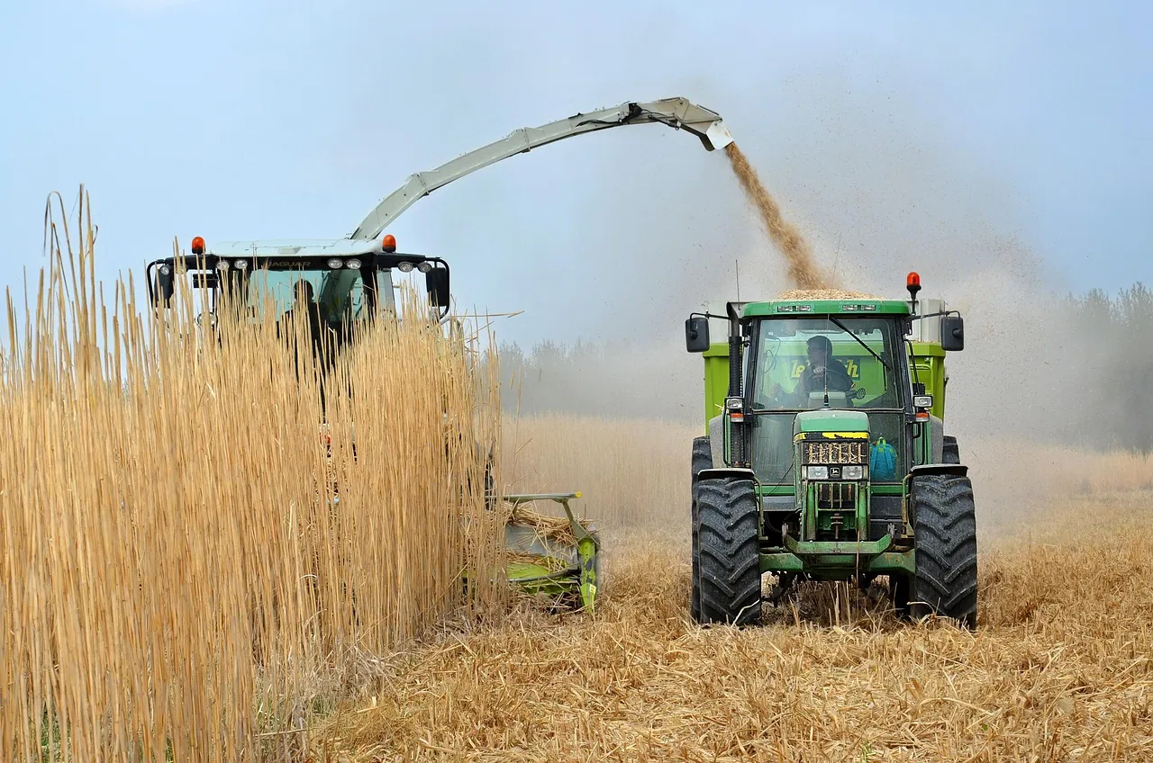 T&E remet en question le bilan carbone des biocarburants, un sujet qui émerge à nouveau dans les débats européens