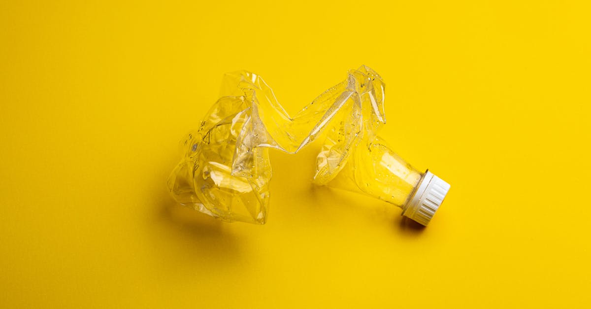 Recyclage : Comment améliorer ses pratiques au quotidien