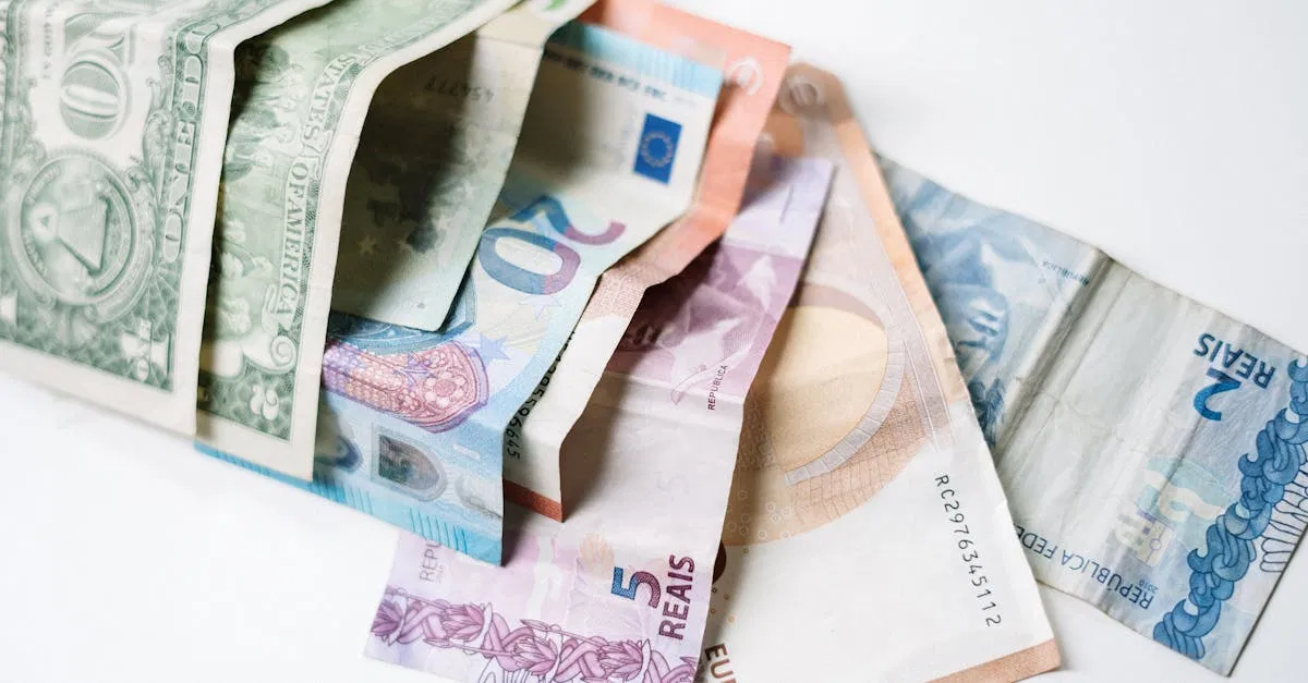 Financement vert : Comment investir durablement pour un avenir écologique