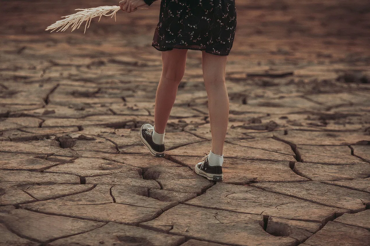 L’impact du changement climatique sur l’agriculture et l’équilibre du bilan carbone
