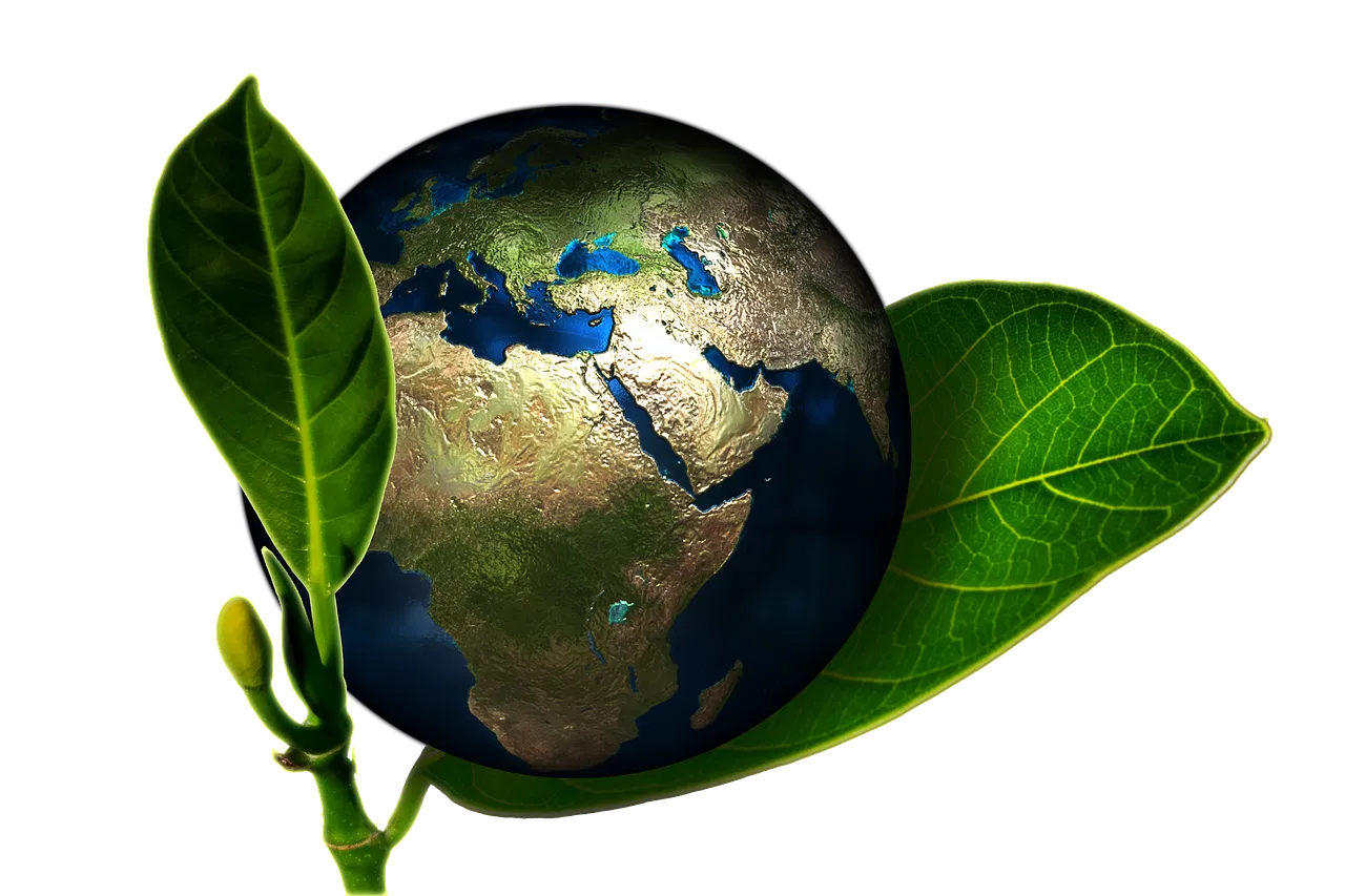 Évaluation environnementale : Stratégies d’audit, conseils et bilan carbone