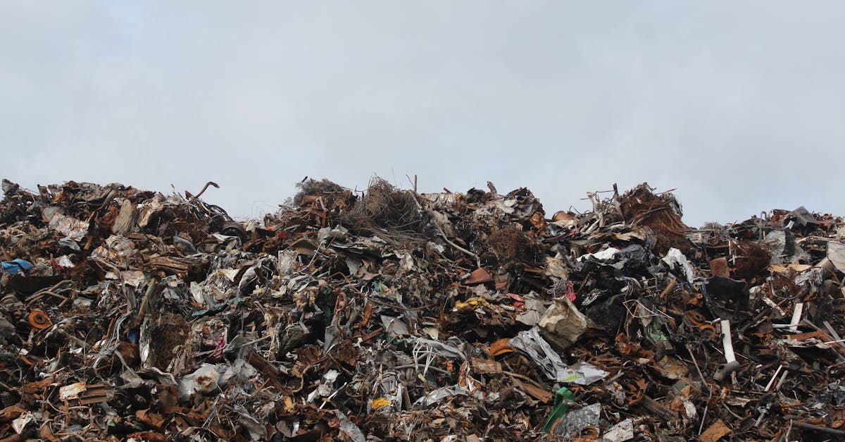 Gestion des déchets : conseils pratiques pour réduire votre impact environnemental