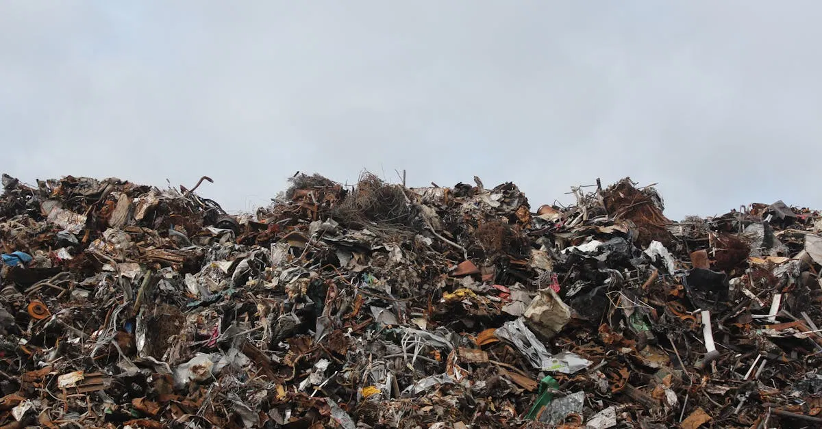 Gestion des déchets : conseils pratiques pour réduire votre impact environnemental