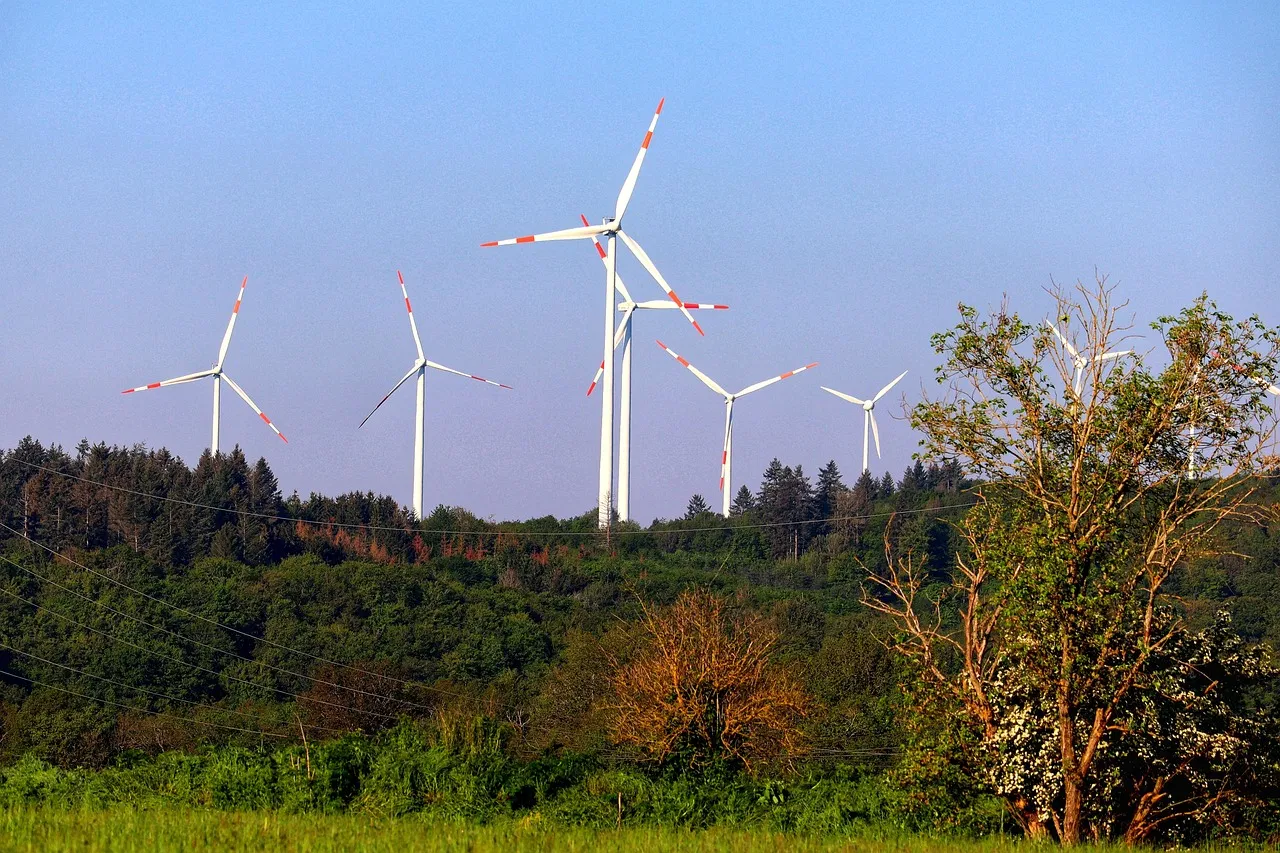 Un musée français face à un défi écologique : 9000 tonnes de CO2 émises annuellement, comment relever le défi de la transition verte ?