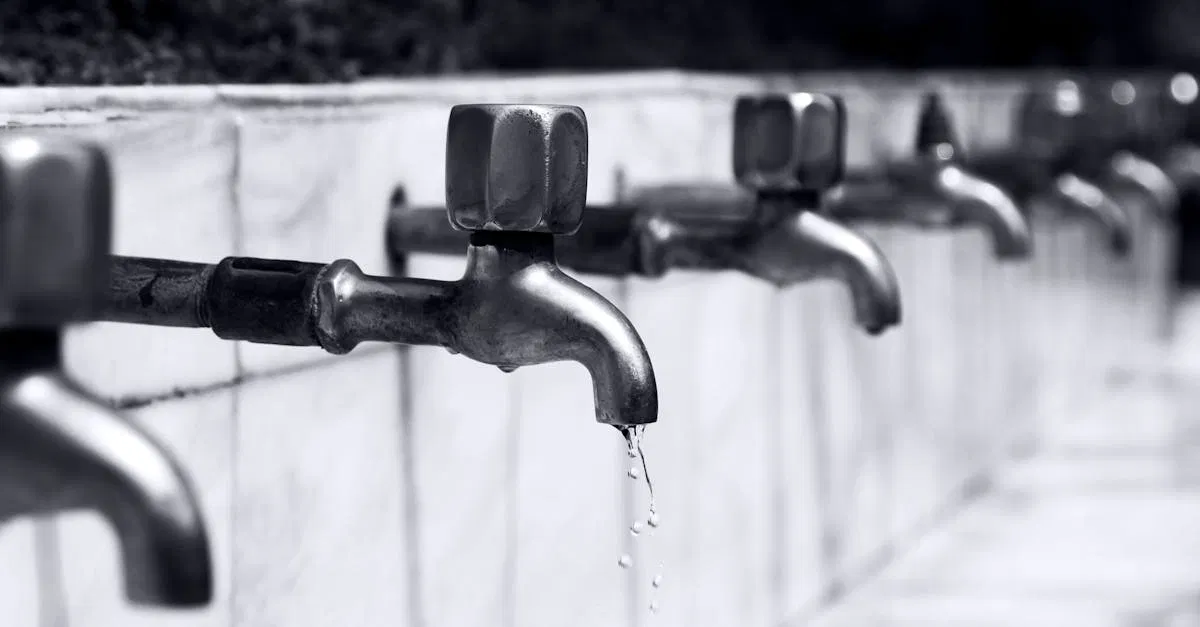 Réduction de la consommation d’eau : 10 astuces pour économiser efficacement