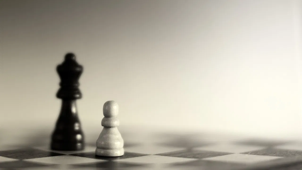 Stratégies pour compenser un bilan carbone négatif