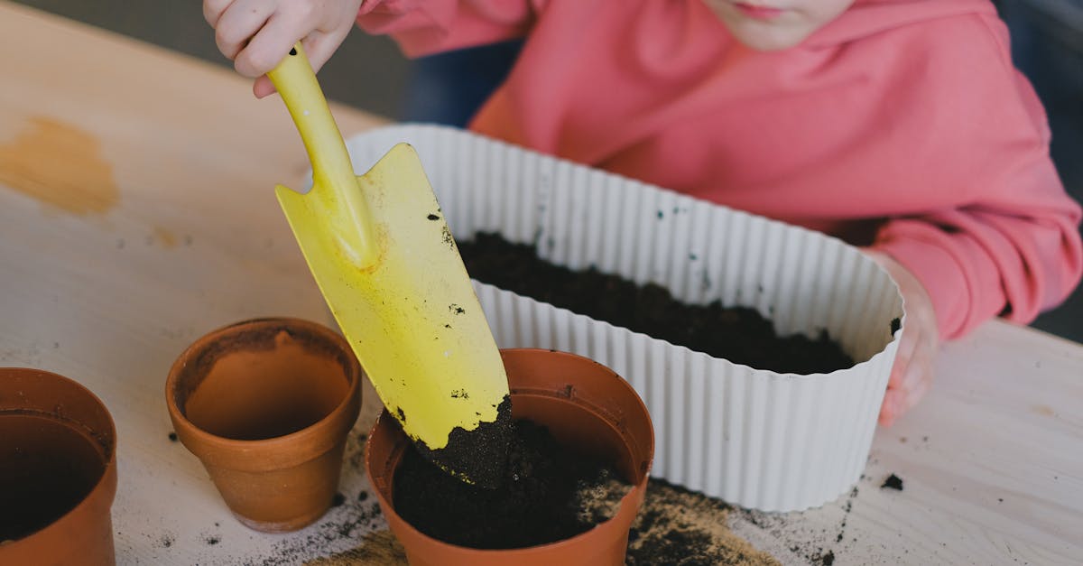 Éducation environnementale : Comprendre l’importance de sensibiliser les jeunes à la protection de la planète