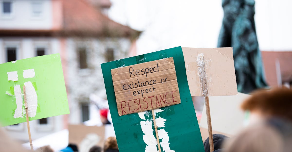 Droit à un environnement sain : pourquoi cette exigence est essentielle pour notre avenir