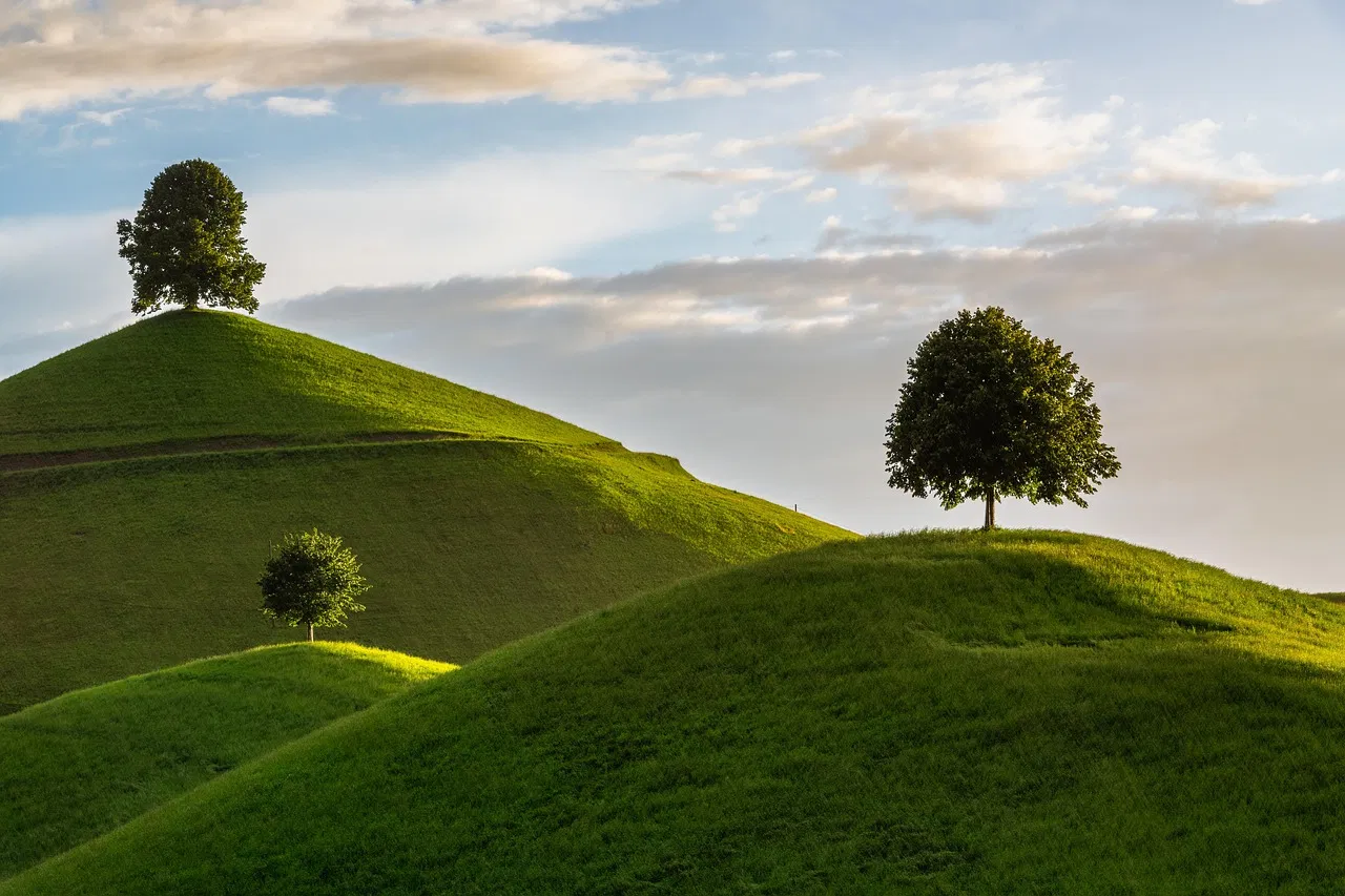Arbre et Paysage 32 : Une dynamique active face aux incertitudes financières