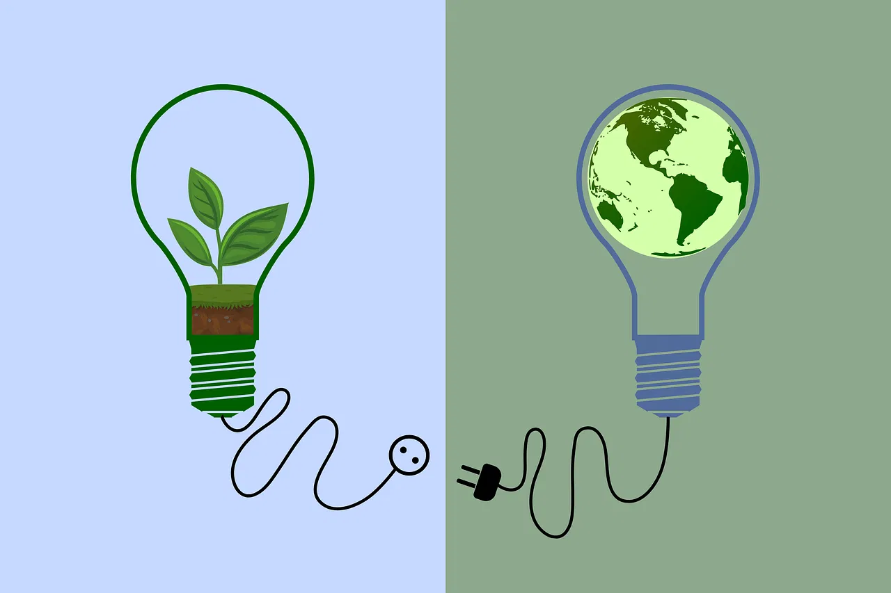 Bilan 2024 : Un regard sur les avancées en matière de développement durable !