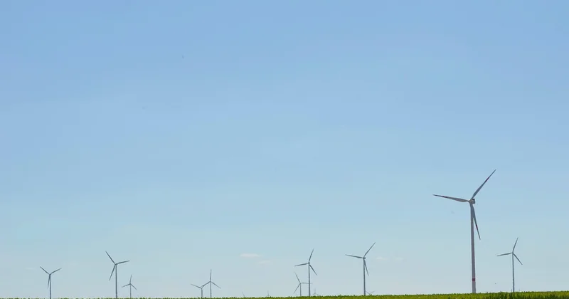 Quels sont les enjeux de la transition écologique pour les entreprises ?