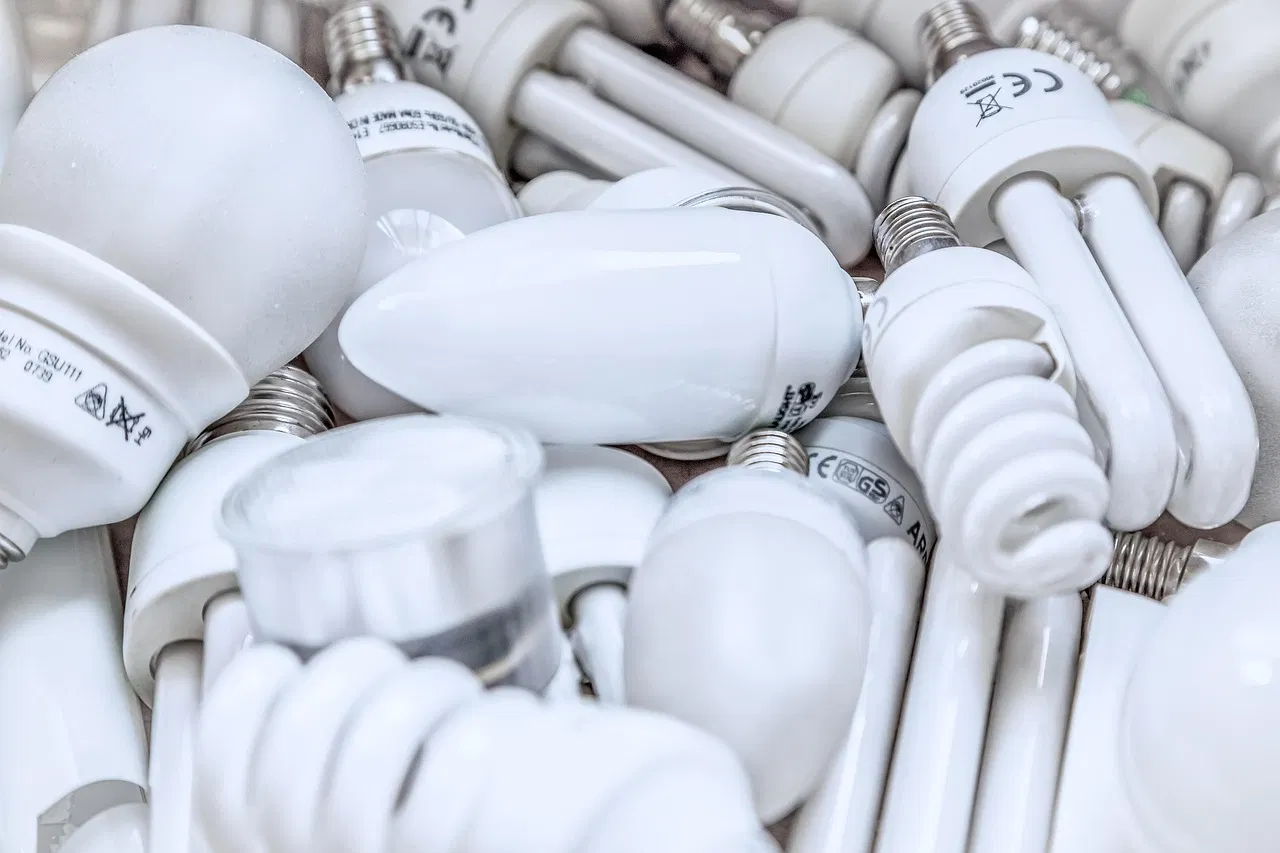 Économie verte : les tendances à suivre pour un avenir durable