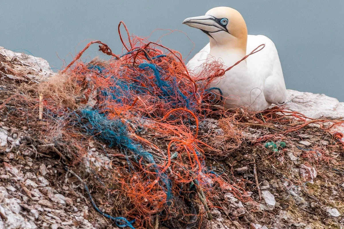 Réduire le plastique : les actions qui marchent vraiment
