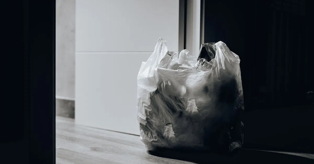 Lutte contre le gaspillage : 10 astuces pour réduire vos déchets au quotidien