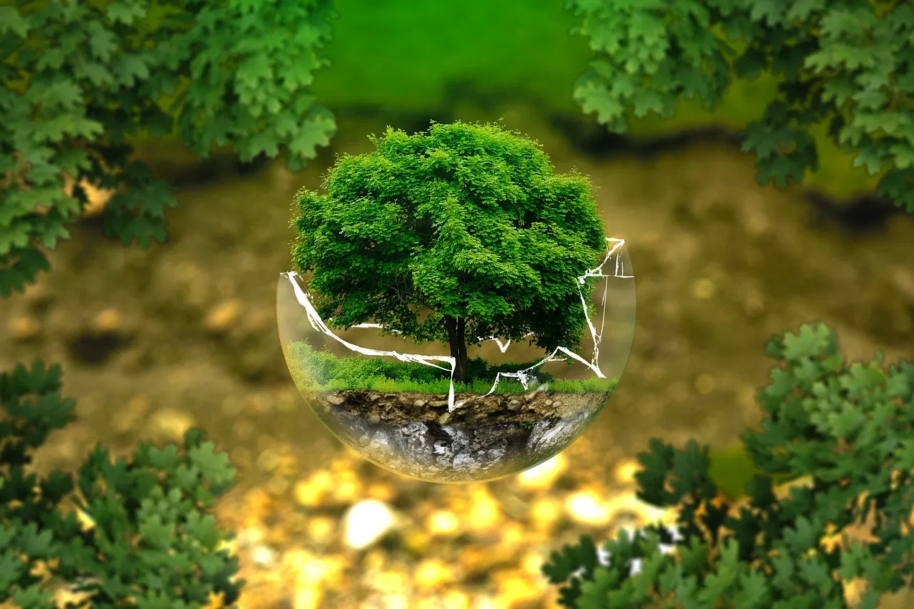 Survol des Controverses : Le Vol Ultra-Court de Cette Compagnie Aérienne Soulève des Débats Environnementaux !