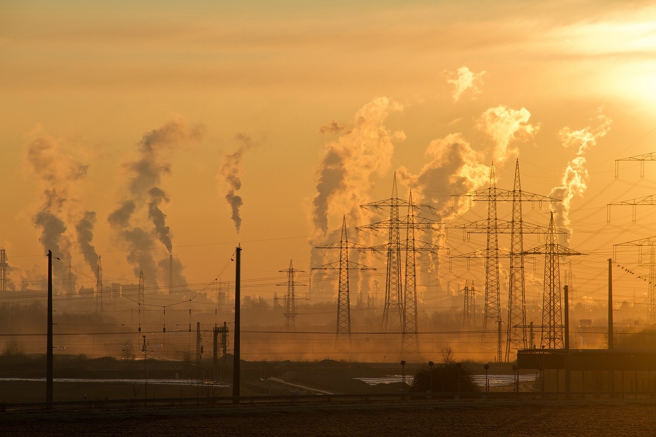 Notre Dévouement à la Protection de la Planète