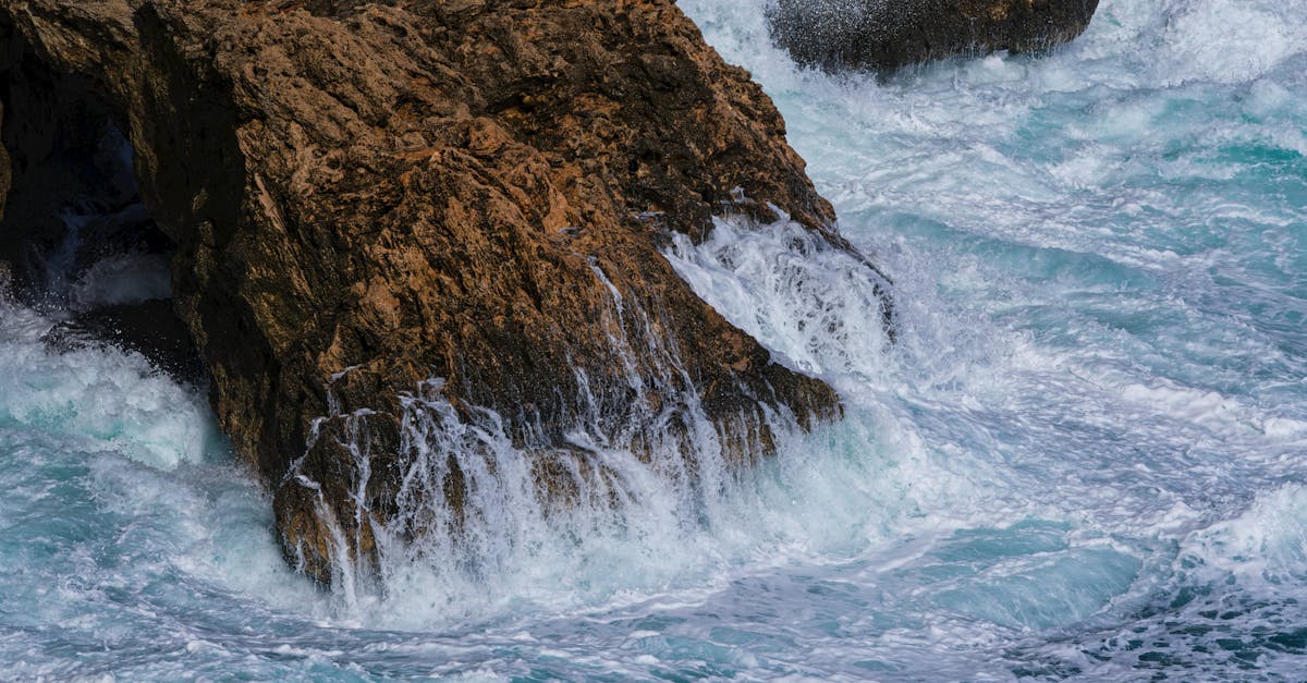 Politiques environnementales : enjeux et défis pour un avenir durable