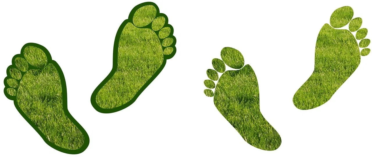 Vingt ans d’impact : Le Bilan Carbone®, une initiative française toujours essentielle