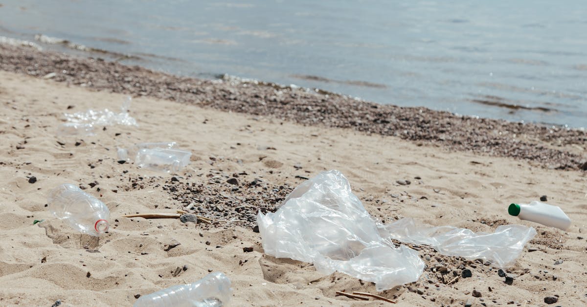 Souci écologique : comprendre l’impact de nos choix quotidiens sur l’environnement