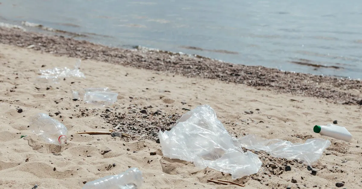 Souci écologique : comprendre l’impact de nos choix quotidiens sur l’environnement