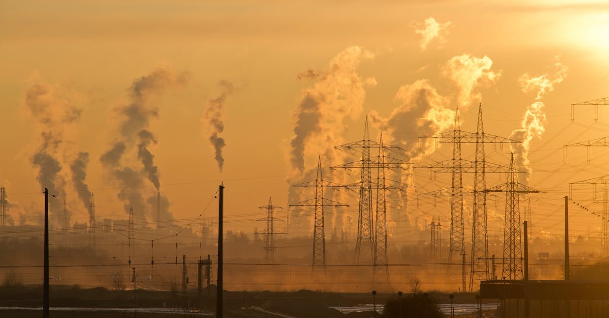 Évolution climatique : comprendre les impacts sur notre planète