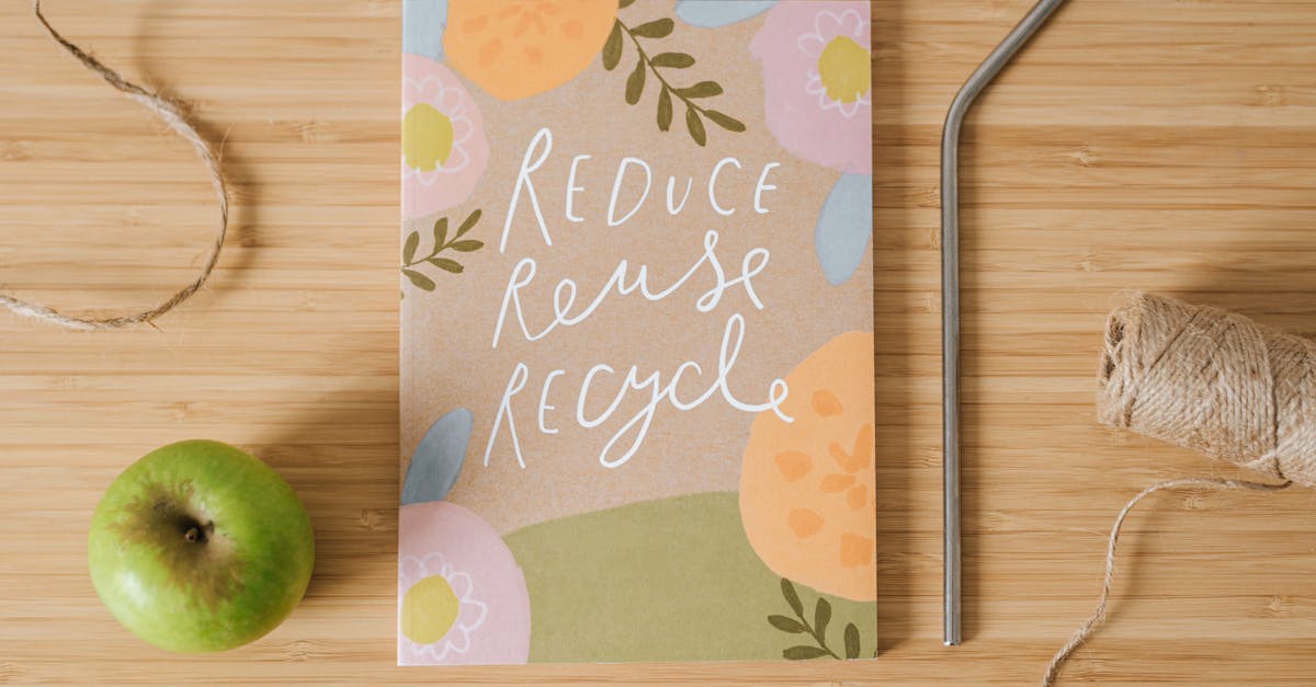 Vision écologique : adopter un mode de vie durable au quotidien