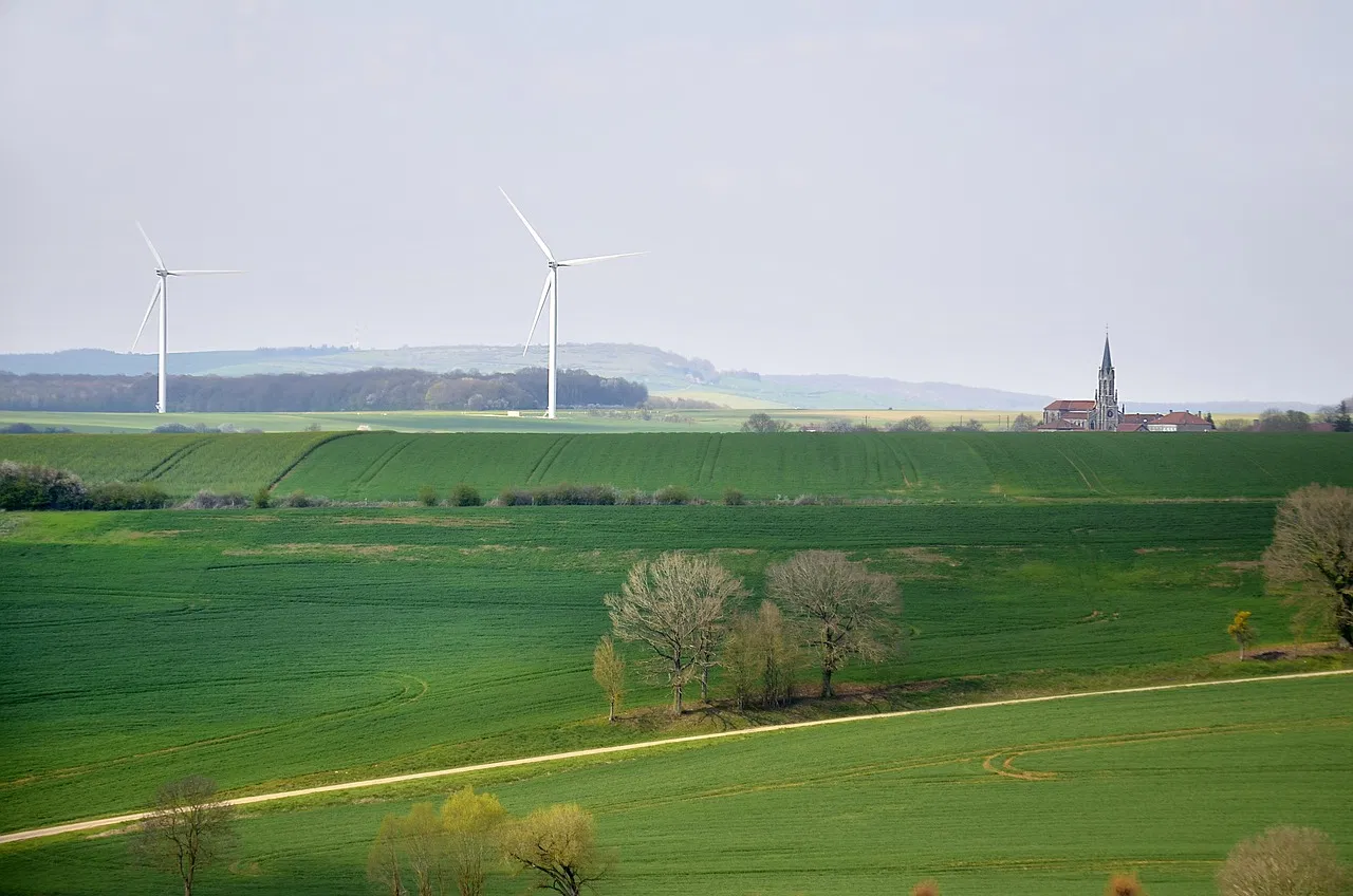 Zoom sur le Label DD&RS : Un Engagement pour le Développement Durable dans l’Enseignement Supérieur et la Recherche