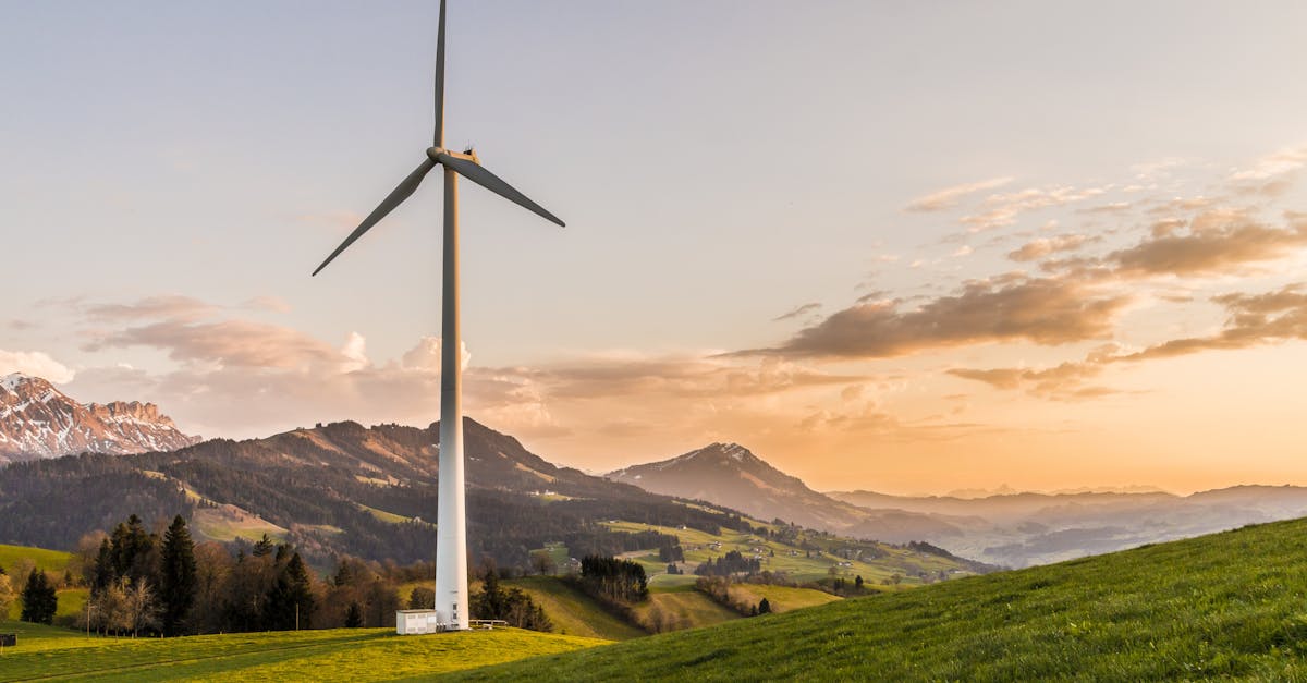 Ressources renouvelables : Comprendre leur importance dans la transition énergétique