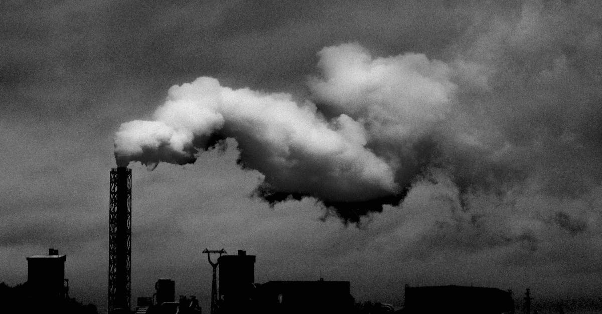 Avenir durable : 5 solutions pour un monde plus respectueux de l’environnement