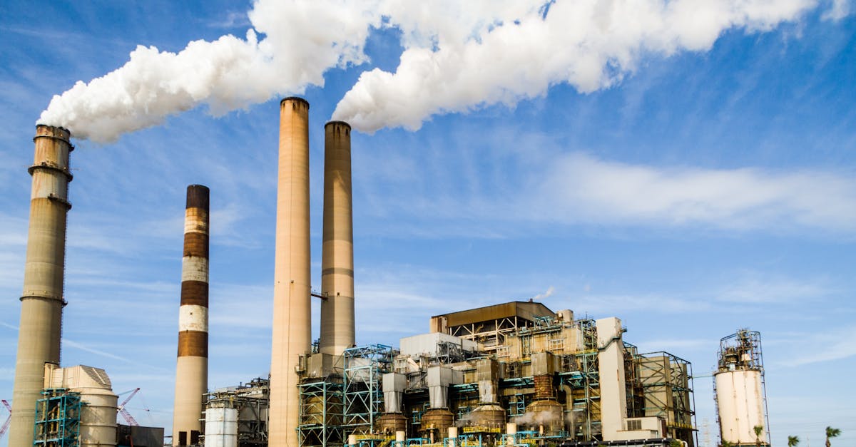 Pollution de l’air : impacts sur la santé et solutions durables