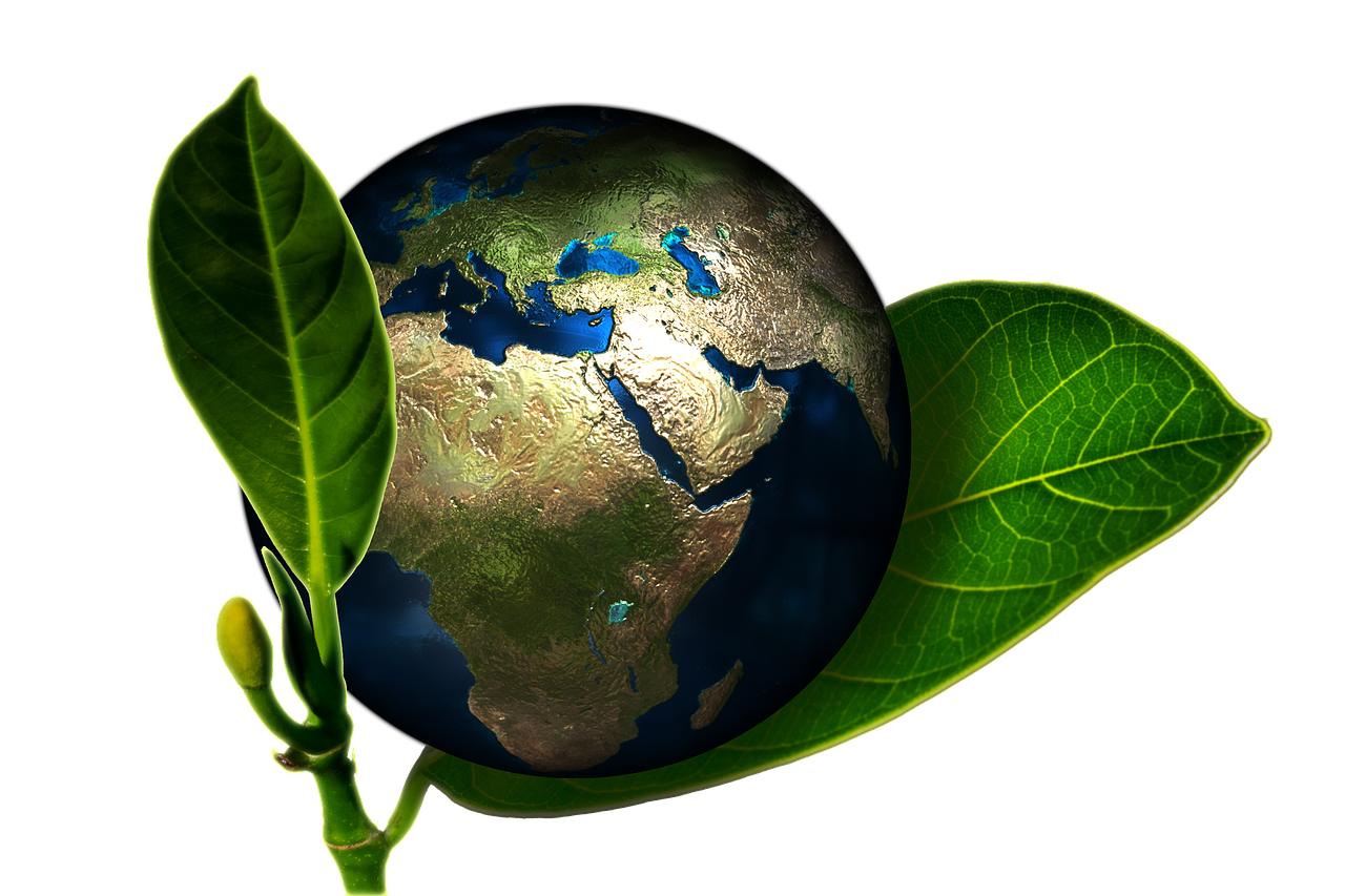 Notre dévouement envers la préservation de l’environnement