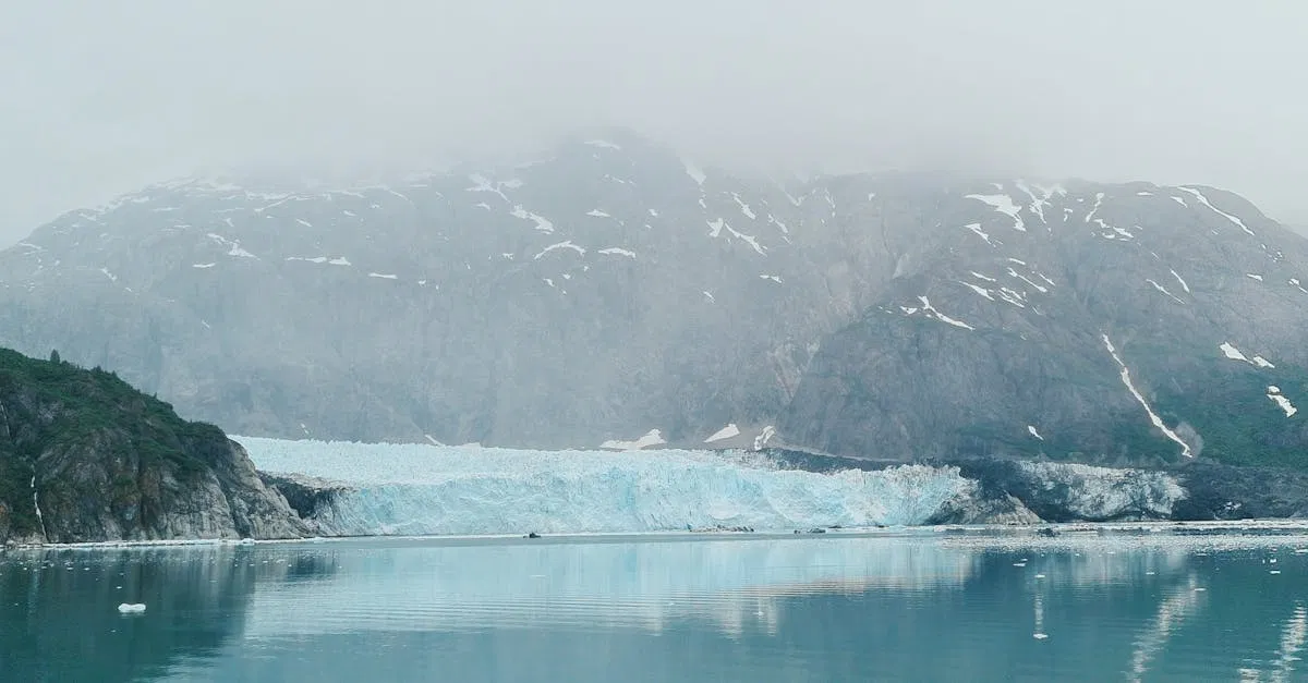 Atténuation des effets climatiques : stratégies et actions pour un avenir durable